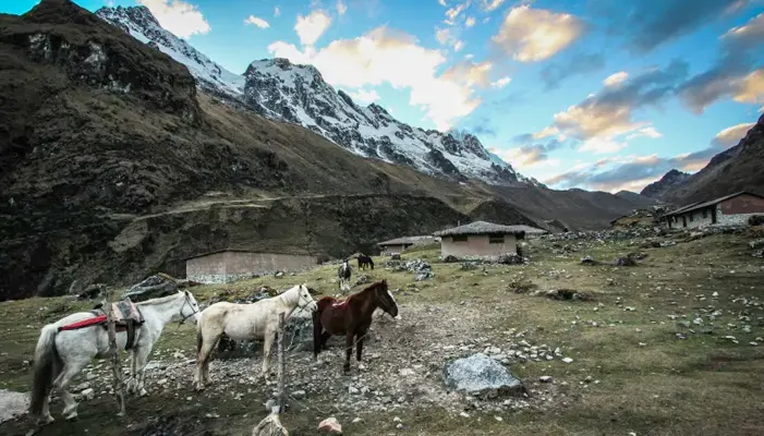 machu-picchu-trekking-2